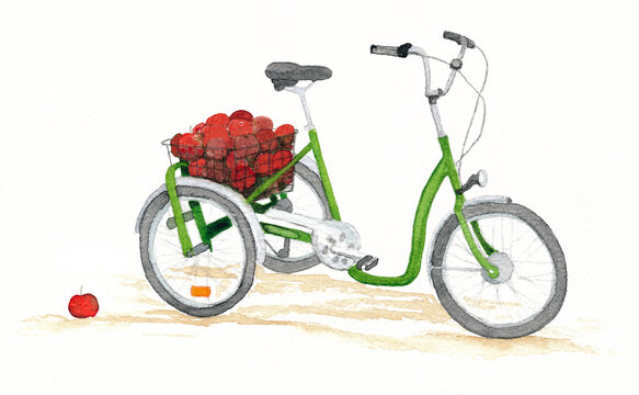 Green bicycle with red apples, painted with watercolour