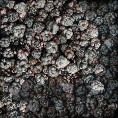 summer still life of ripe blackberry berries