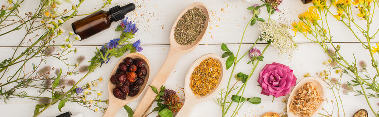 panoramic shot of herbs in spoons near flowers and bottle on white wooden background, naturopathy concept - obrazy, fototapety, plakaty