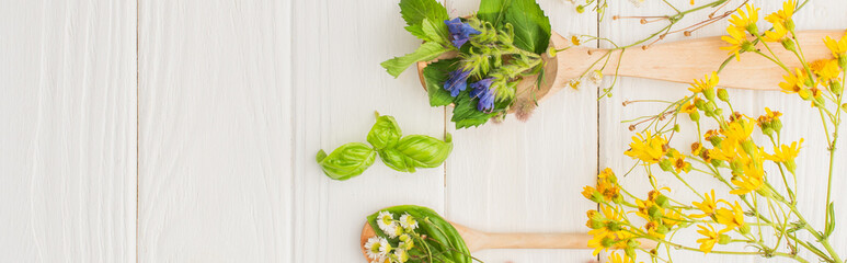 panoramic shot of herbs and green leaves in spoons near flowers on white wooden background, naturopathy concept © LIGHTFIELD STUDIOS