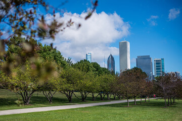 City park in Chicago city