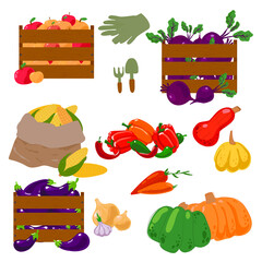 Autumn collection of elements for your design with pumpkins, leaves, vegetables, corn, beet, carrot and apples. Autumn harvest concept. Vector illustration.
