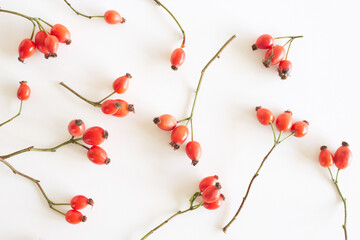 Autumn composition with red rose-hips on white table background. Fall, Halloween and Thanksgiving...