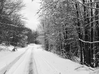 road in the snow