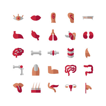 Human Organ icon set vector flat for website, mobile app, presentation, social media. Suitable for user interface and user experience.
