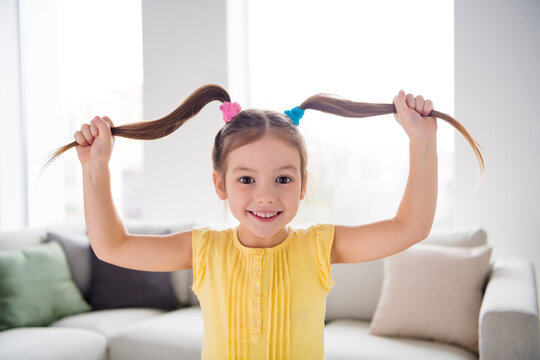 Close up photo of nice childish kid hold her haircut ponytails enjoy weekend free time in living room house indoors