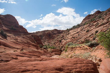 Antelope Canyon during the Summer  lights and rocks arizona usa