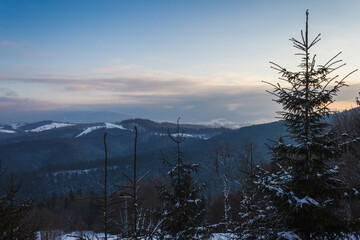 Evening in the mountains. Carpathians