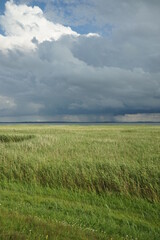 Bilder der Insel Rügen