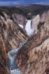 Grand Canyon of the Yellowstone River (Artist Point)