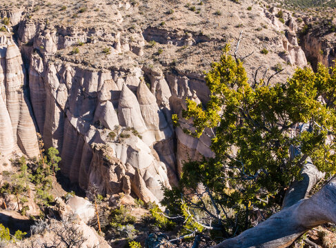 Elevated View of Cone Shaped Hoodoos On The Tent Rocks Trail,Kasha-Katuwe Tent Rocks National Monument, New Mexico,USA