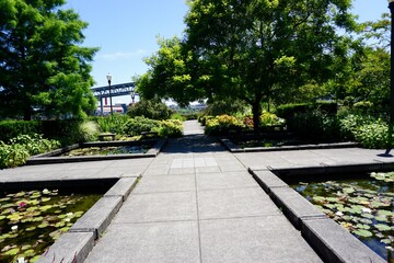 Obraz premium Portland Riverside garden