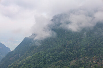 View of fog in forest on top tree in mountain at thailand