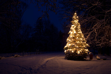 Beleuchteter Weihnachtsbaum im Schnee / Winter bei Nacht