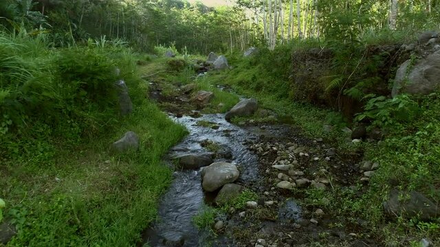 Beautiful green riverside view with small water flow and volcanic rocks boulder. Shot in dolly backward movement camera