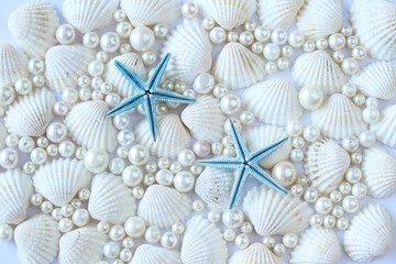 夏イメージ　真珠と貝殻とスターフィッシュ
