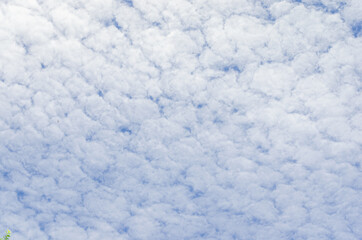 Fototapeta premium beautiful blue sky and white fluffy cloud horizon outdoor for background.