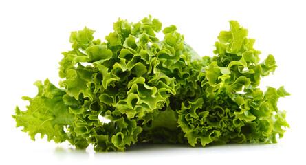 leaf lettuce on white © ImagesMy