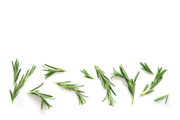 Fresh aromatic rosemary sprigs