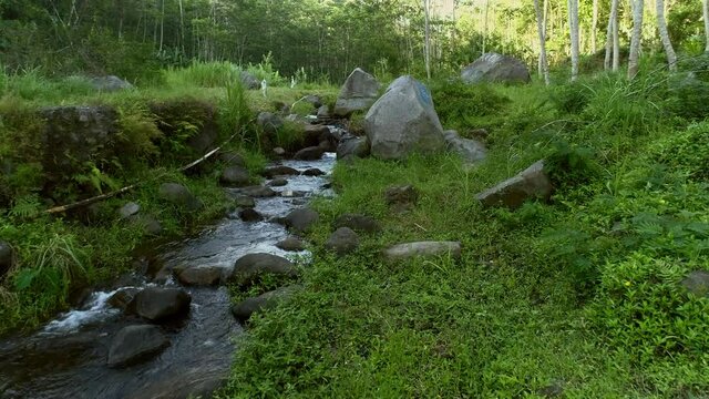 Beautiful green riverside view with small water flow and volcanic rocks boulder