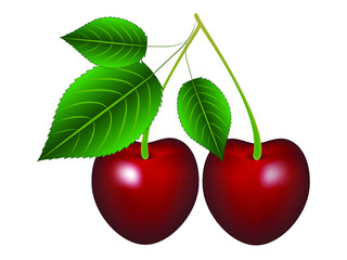 Ripe red cherry berries with leaves.