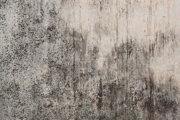 Obraz premium Old Grungy white concrete wall texture background