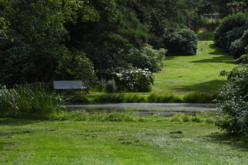 Banc dans un park