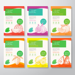 Fresh Local Fruit Labels Packaging Design Layout Collection. Vector Background Covers Set. Modern Typography and Hand Drawn Watermelon, Figs, Oranges, Mango, Lemon and Pears.