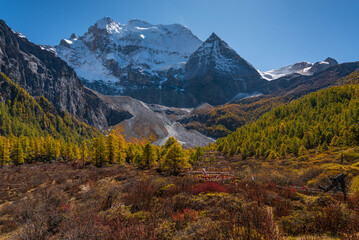 High mountain in Yading with autumn leaves