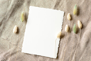 Empty Paper Card template, JPG © Anna