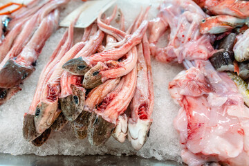 Fresh fish at the fish market in Ciutadella on the island of Menorca. Spain