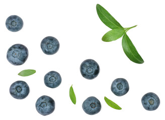 Blueberries isolated on white background, top view