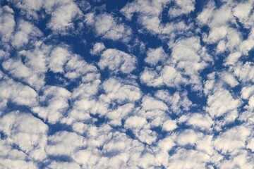 Schäfchenwolken am blauen Himmel