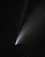 Shot of the Neowise comet taken in France