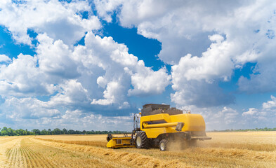 Obraz premium Agriculture machine harvesting crop in fields. Special technic in action.