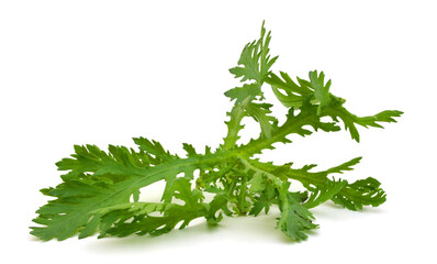 Garland chrysanthemum