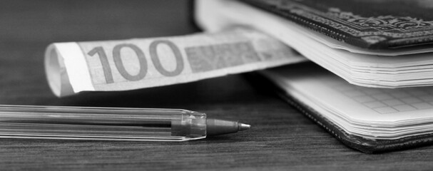Hundred Euro and business book, black and white