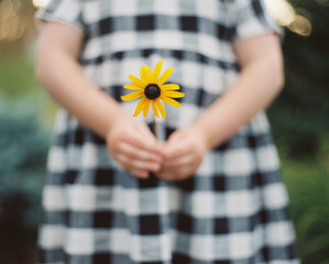 daisy in hands of young girl
