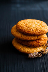 Fototapeta na wymiar oatmeal cookies next to a spike on a dark wooden background
