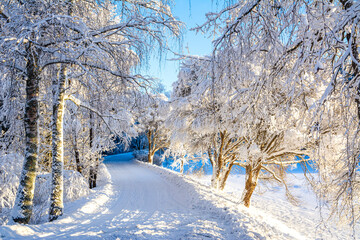 Mellonlahti nature trail, winter view, Imatra, Finland