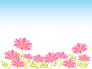 コスモスが咲いている風景イラスト
