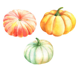 Watercolor pumpkin autumn halloween