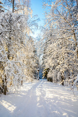 Mellonlahti nature trail, winter view, Imatra, Finland