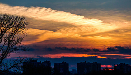 Fototapeta premium beautiful sky in nature in the evening