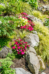 Red Flowers Near Rocks 2