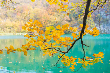 Obraz na płótnie Canvas Plitvicka jezera
