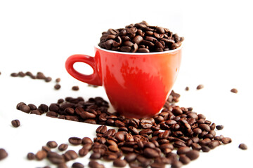 cup of coffee beans