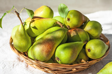 Fresh organic ripe pears with leaves in the wicker basket on gray background. Thanksgiving dinner. Healthy eating concept. Selective focus