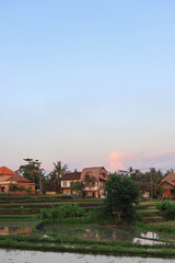 Fototapeta premium Beautiful Rice Terrace, Ubud, Bali, Indonesia