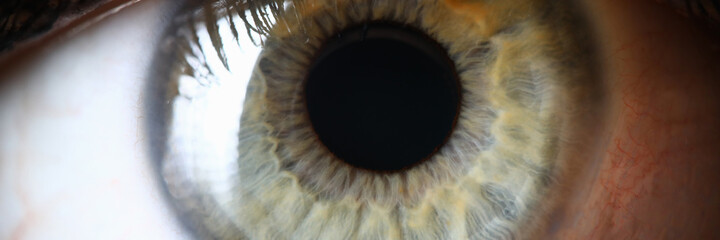 Closeup healthy green human pupil eye diagnosis. Health prevention. Genetics and color scheme eye....